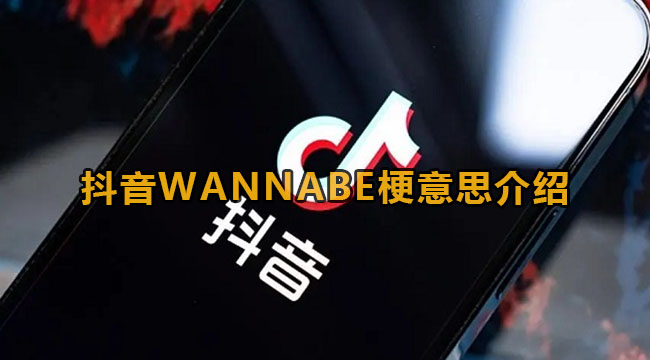 抖音WANNABE梗意思介绍