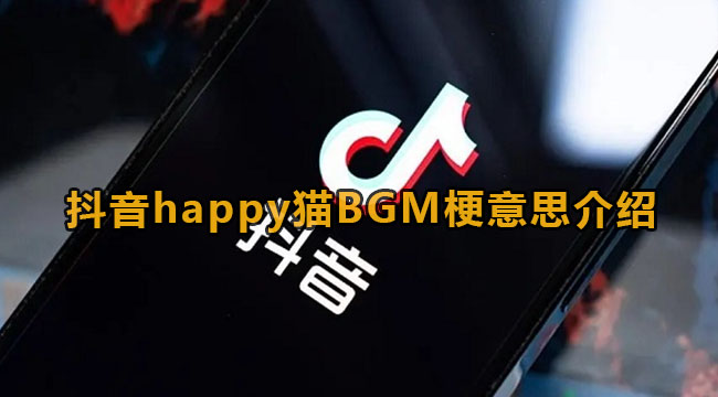 抖音happy猫BGM梗意思介绍