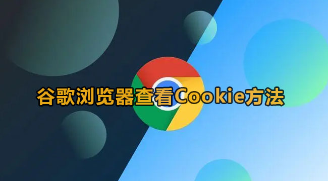 谷歌浏览器查看Cookie方法