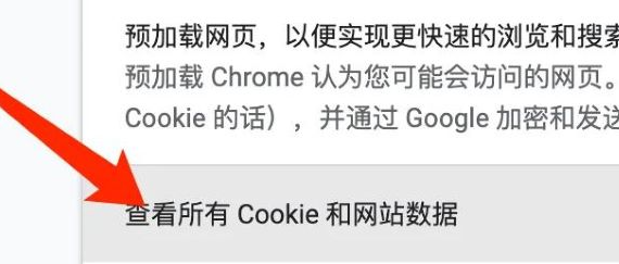 谷歌浏览器查看Cookie方法