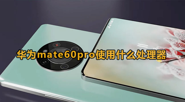 华为mate60pro使用什么处理器