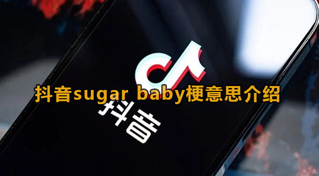 抖音sugar baby梗意思介绍