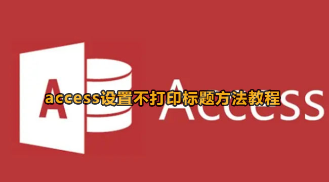 access设置不打印标题方法教程