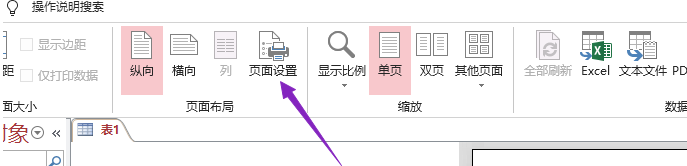 access设置不打印标题方法教程