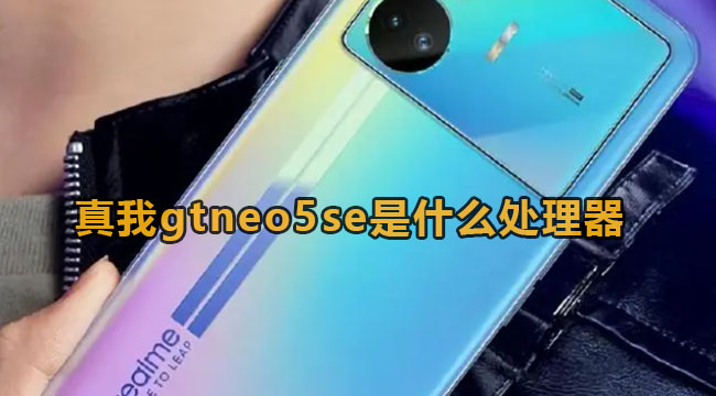 真我gtneo5se是什么处理器