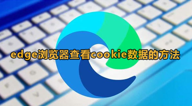 edge浏览器查看cookie数据的方法