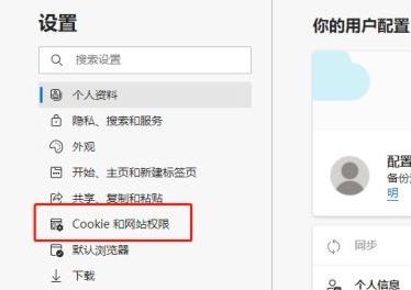 edge浏览器查看cookie数据的方法