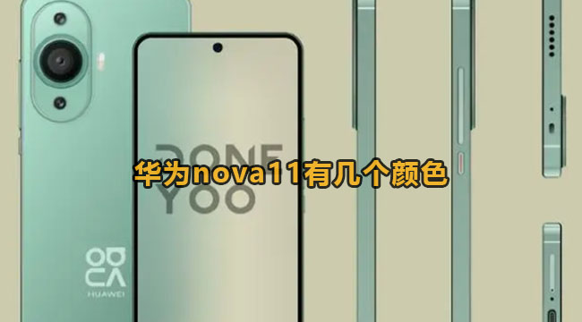 华为nova11有几个颜色