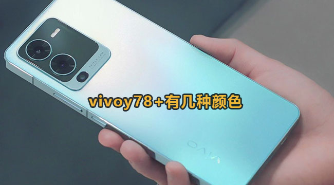 vivoy78+有几种颜色