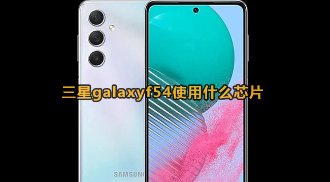 三星galaxyf54使用什么芯片