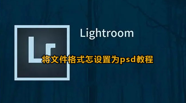 lightroom将文件格式设置为psd教程