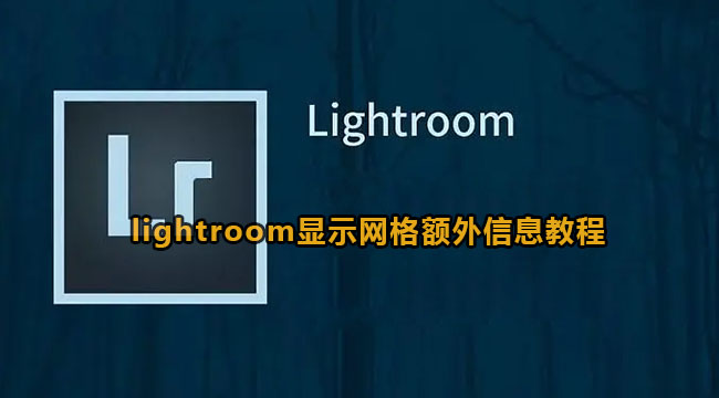 lightroom显示网格额外信息教程