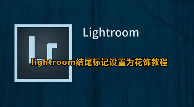lightroom结尾标记设置为花饰教程