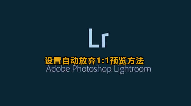 lightroom设置自动放弃1:1预览方法