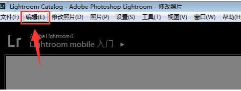 lightroom设置自动放弃1:1预览方法