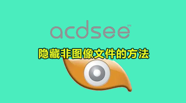 acdsee隐藏非图像文件的方法