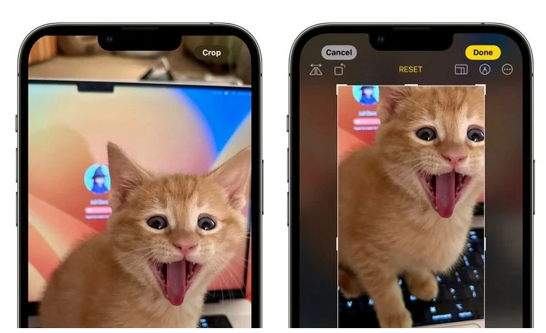 iOS 17 升级“照片”应用，为“裁剪”引入新操作逻辑