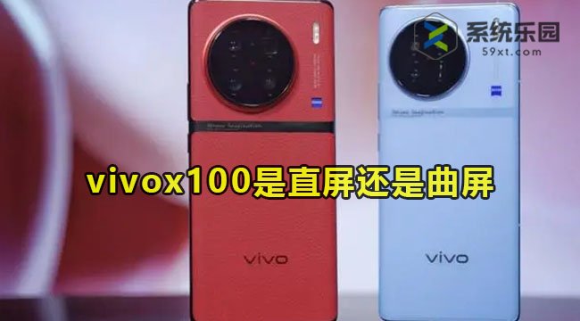 vivox100是直屏还是曲屏