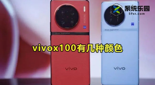 vivox100有几种颜色