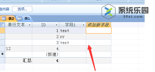 access隐藏列的方法教程