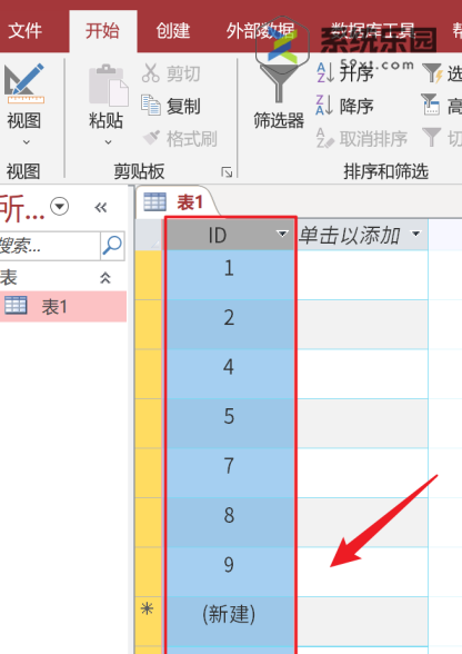 access设置单元格居中的方法