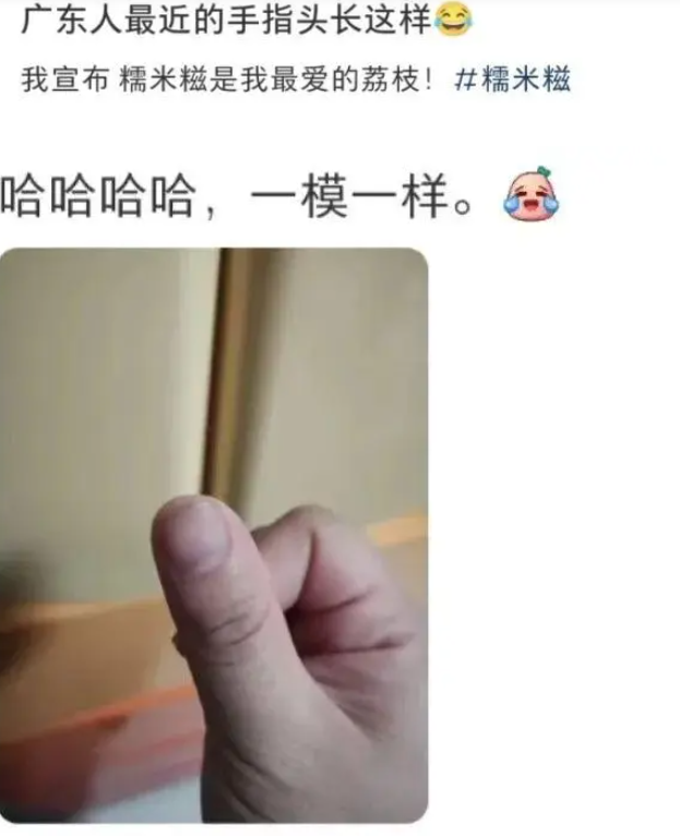 广东人大拇指都是黑的梗意思介绍