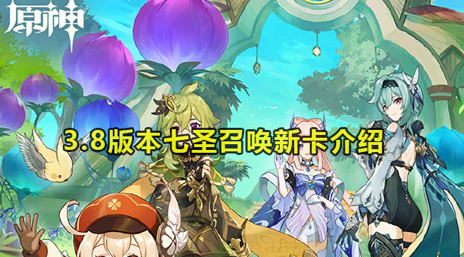 原神3.8版本七圣召唤新卡介绍 