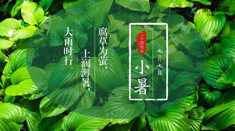 2023蚂蚁庄园7月7日答案2