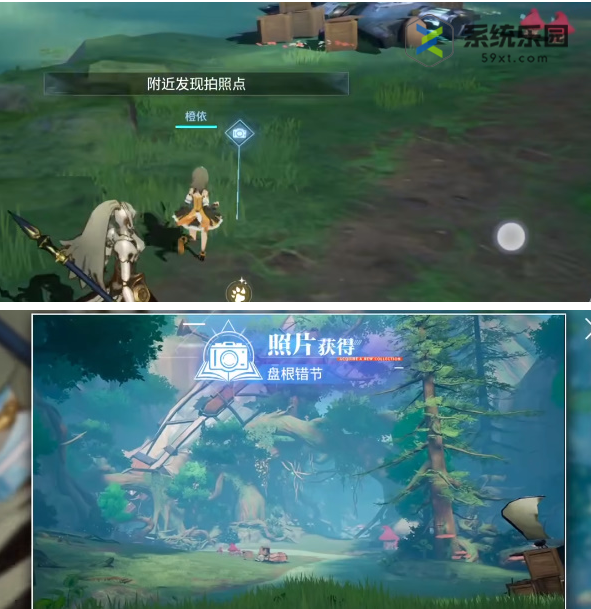 晶核古代巨树拍照打卡点介绍