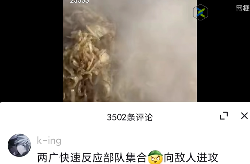 抖音两广快反部队梗意思介绍