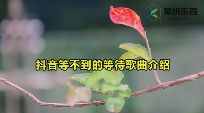 抖音等不到的等待歌曲介绍