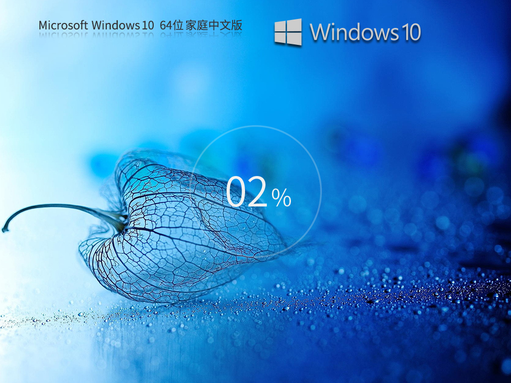 Windows10 22H2 19045.2965 X64最新家庭中文版v2023.05