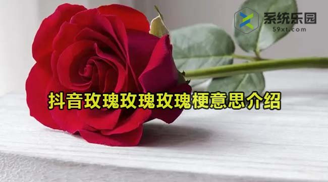 抖音玫瑰玫瑰玫瑰梗意思介绍