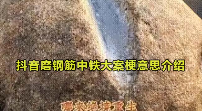 抖音磨钢筋中铁大案梗意思介绍