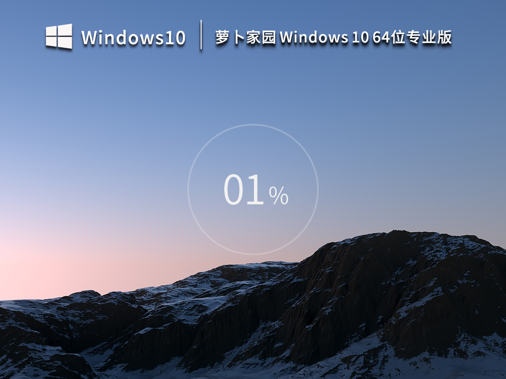 萝卜家园Windows10 64位专业版v2023.03