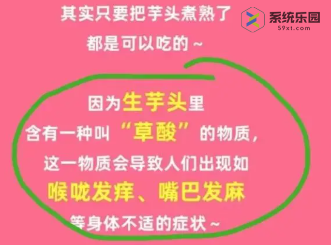 淘宝大赢家每日一猜2023年10月25答案