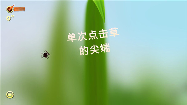 蜘蛛的冒险