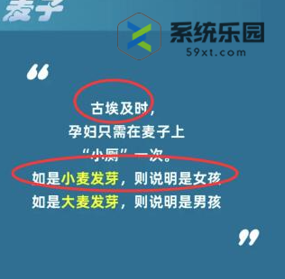 淘宝大赢家每日一猜2023年11月17答案