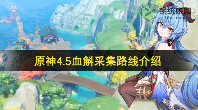 原神4.5血斛采集路线介绍