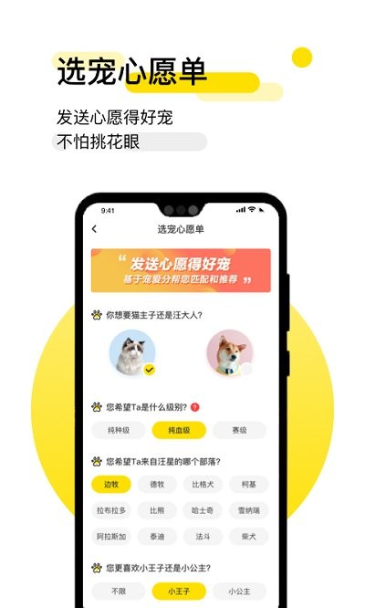 共宠截图