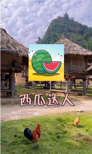 西瓜达人截图