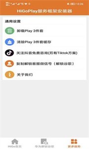 higoplay服务框架安装器和谐版截图