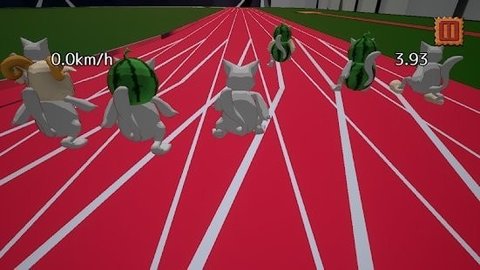 小猫短跑比赛截图