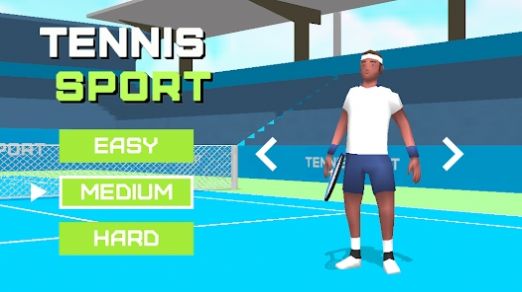 3D网球赛截图