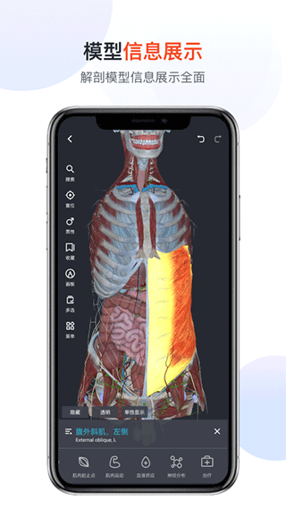 口袋人体解剖截图
