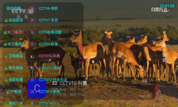 飞龙电视TV版截图