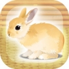 治愈兔兔养成汉化版手游app