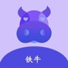 铁牛视频手机软件app
