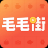 毛毛街手机软件app