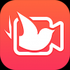 飞鸽影视	手机软件app
